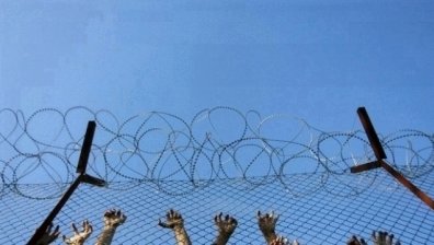 Спипаха седем нелегални имигранти край Монтана