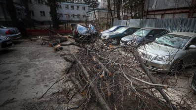 След две денонощия на ураганен вятър: Част от врачани все още са без ток