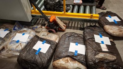 Задържаха марихуана за близо 500 000 евро на ГКПП "Гюешево" (+ВИДЕО)