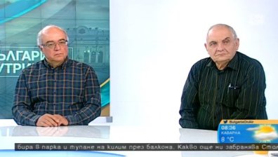 Тодоров трябвало да свърши "черната работа" срещу Радев, смята социолог