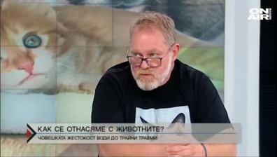 Домашните животни не са играчки 