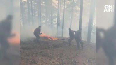 Голям пожар унищожи декари брези и иглолистни гори край Сатовча