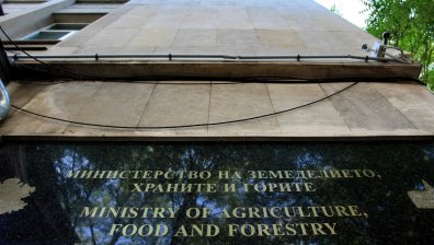 МЗХ подготвя нормативни промени за подобряване на достъпа на пазара за повече производители