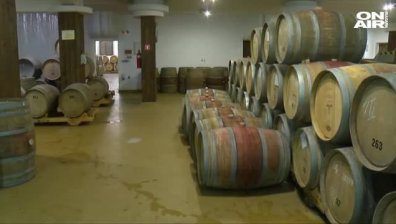 Опасност от огромни загуби: Над 80 млн. литра вино залежават в избите!