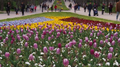 Тротинетки летят опасно покрай деца и майки с колички в Морската градина във Варна