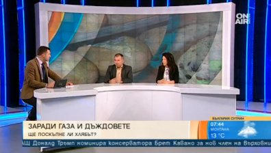 Горивата скачат, дъждовете не спират... Ще се вдигне ли цената на хляба?