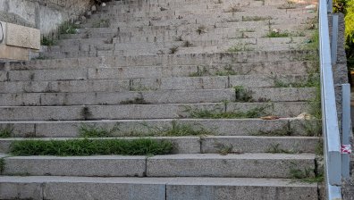 Сигнали за занемарен подлез, боклуци и опасни изсъхнали дървета в София и Бургас