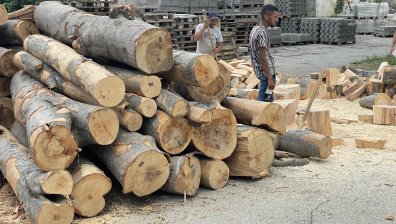 Кризата с дървата връща крадците на мода: "Тази зима ще изнасяме хората хоризонтално"
