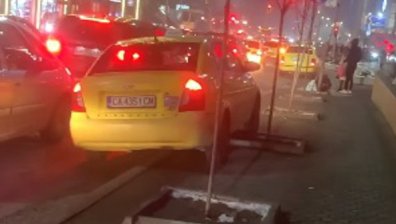 HelpBook в кадър: Такси гази новопосадени дръвчета заради задръстване 