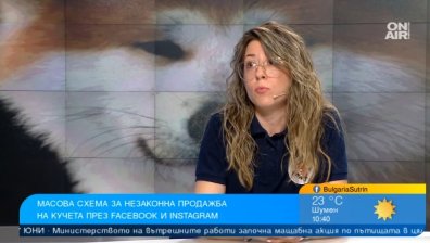 "Четири лапи" разкри измама с незаконна продажба на кучета във Facebook