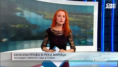 Обедна емисия