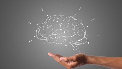 Направиха революционно откритие за когнитивните процеси в мозъка