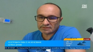 България е водеща с жесток метод в бракониерството на есетрови риби