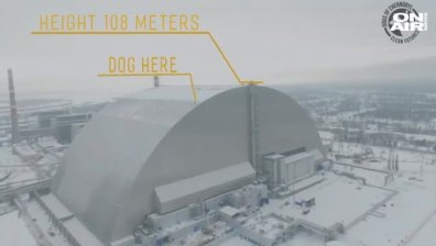 Спасиха бездомно куче от саркофага на чернобилския реактор