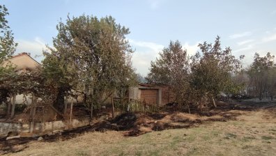 Очевидци за пожара в Старосел: Пламъците са огромни, кошмарно е!