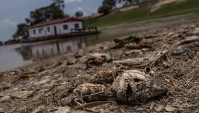 Сушата в река Амазонка разкри уникални артефакти на над 2000 години