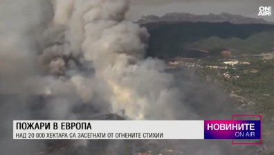 Обедна емисия