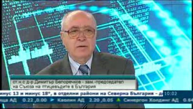 Сгради за над милион кокошки не са според нормите в директива на ЕК