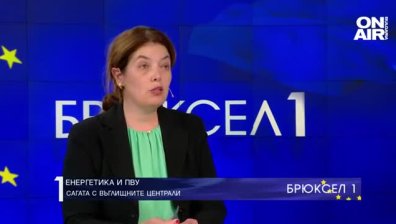 Ива Петрова: Парламентът ни даде картбланш за разговори с Украйна относно АЕЦ "Белене"