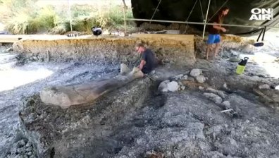 Откриха впечатляваща динозавърска кост във Франция
