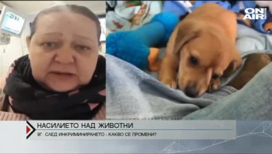 Какво се промени след инкриминирането на насилието над животни?