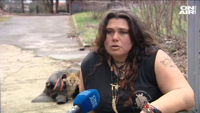 Професия "Гледач на животни": Повече грижа, отколкото гушкане