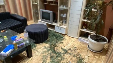 По Коледа: Вместо елха - марихуана, криминалисти разкриха домашна оранжерия в Перник