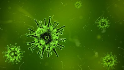 Няма регистрирано заразяване с птичи вирус на хора в ЕС