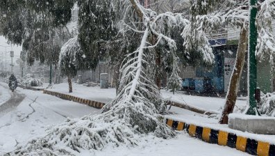 Паднали дървета и блокирани пътища заради обилен снеговалеж в Пакистан (СНИМКИ)
