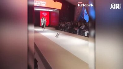 Котка се разходи по модния подиум в Истанбул