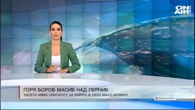 Късна емисия