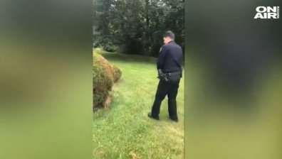 Заклещен енот вдигна на крак полицията в Ню Йорк