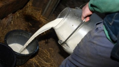 България ще произведе 5618 тона по-малко мляко през следващите три месеца