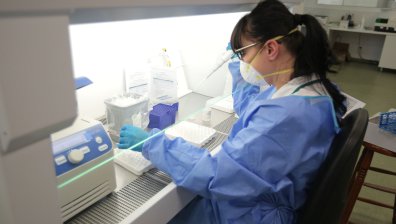 Ковид-19: 19 заразени, трима хоспитализирани и четирима излекувани