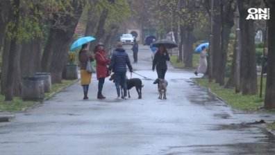 Столичният инспекторат погва собствениците на кучета &ndash; глобата до 450 лв.