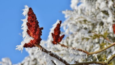 Слънчева, но студена събота ни очаква, максимални температури до 5&deg;