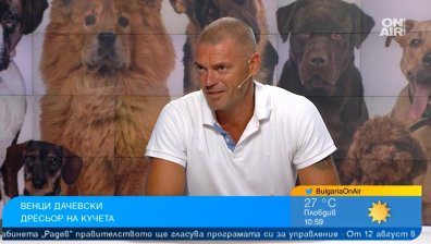 Треньор на кучета: Децата не знаят как да се държат около животни, отговорността е и на стопанина