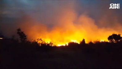 Овладян е пожарът в Харманлийско