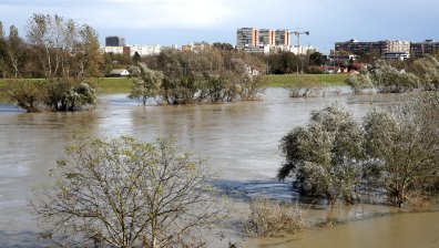 Силен вятър и сняг оставиха хиляди без ток на Балканите