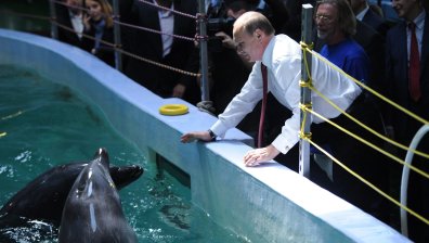 Путин изправя обучени делфини срещу украински водолази, твърди британското разузнаване