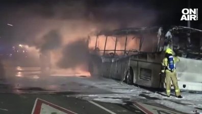Задържаха 145 души от 18 националности за новогодишните сблъсъци в Берлин