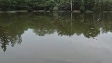 4-годишен спор заради "жабешки" хор завърши със съд