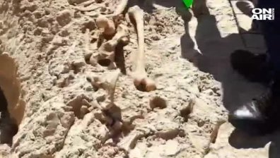 Мистерия: Костите на плажа в Китен - човешки или животински?