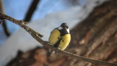 Времето днес: Много студено утро, следобед ще бъде предимно слънчево
