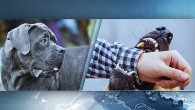 Собственикът на кучетата убийци съжалява за случилото се