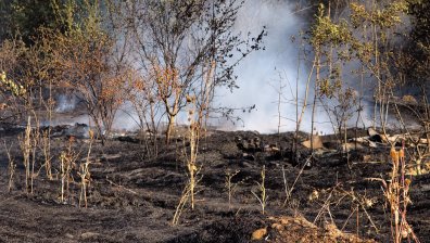 Пожарът край Тутракан няма активен фронт