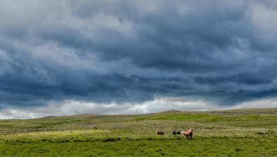Времето днес: Радваме се на топъл четвъртък, преди предстоящо застудяване