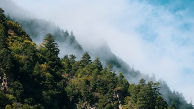 Украинки се изгубиха в гората над Смолян, откриха ги премръзнали