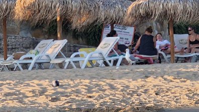 Спасител се сби с французин за свободно място на плажа