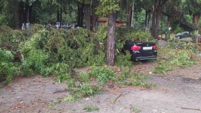 На север от Бургас още нямат ток, над 120 са потрошените коли след мощната буря